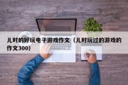 儿时的好玩电子游戏作文（儿时玩过的游戏的作文300）