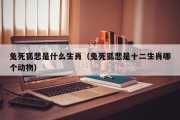 兔死狐悲是什么生肖（兔死狐悲是十二生肖哪个动物）