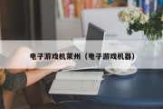 电子游戏机莱州（电子游戏机器）