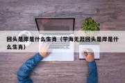 回头是岸是什么生肖（学海无涯回头是岸是什么生肖）