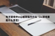 电子游戏中exp通常指代什么（ex游戏里是什么意思）
