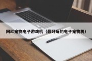 网红宠物电子游戏机（最好玩的电子宠物机）