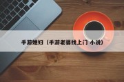 手游媳妇（手游老婆找上门 小说）