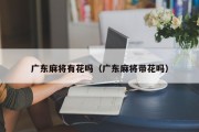 广东麻将有花吗（广东麻将带花吗）