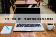 鴋打一生肖（打一生肖焚林而田是什么意思）