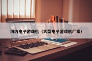 河内电子游戏机（大型电子游戏机厂家）