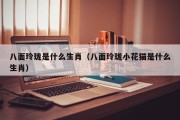 八面玲珑是什么生肖（八面玲珑小花猫是什么生肖）