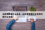 沾花惹草是什么生肖（沾花惹草是什么生肖代表什么生肖）