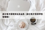 浙江电子游戏文化比山东（浙江电子竞技学校有哪些）