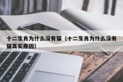 十二生肖为什么没有猫（十二生肖为什么没有猫真实原因）