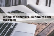 因为我玩电子游戏的英文（因为我玩电子游戏的英文翻译）