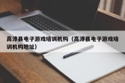 高淳县电子游戏培训机构（高淳县电子游戏培训机构地址）