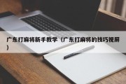 广东打麻将新手教学（广东打麻将的技巧视屏）