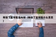 斯伯丁篮球是室内球（斯伯丁篮球是什么意思）