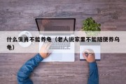 什么生肖不能养龟（老人说家里不能随便养乌龟）