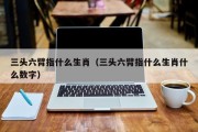 三头六臂指什么生肖（三头六臂指什么生肖什么数字）